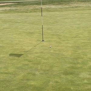 Meet your Posher, Dana